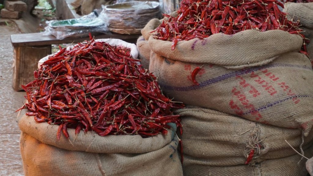 Dried red chillies in burlap export sacks, showing the deep colour ASTA measures